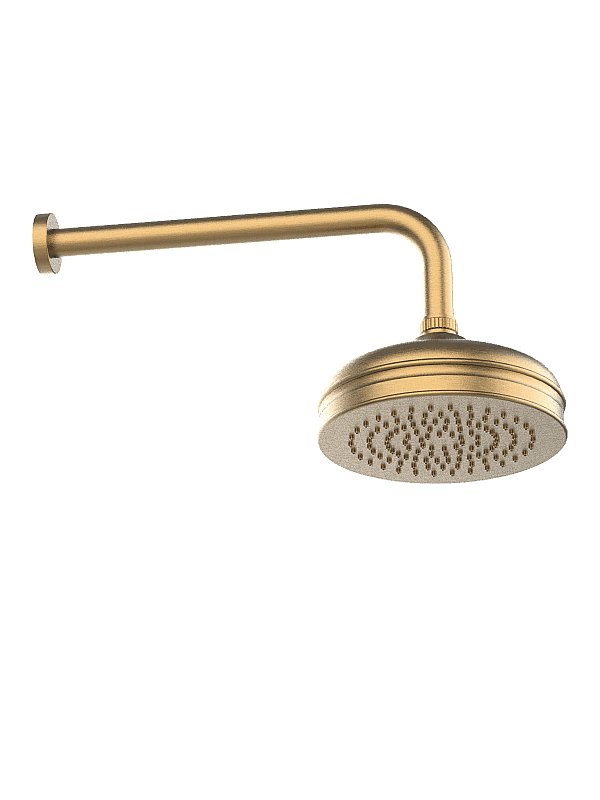 Shower arm old-style brass anticalcareous shower head